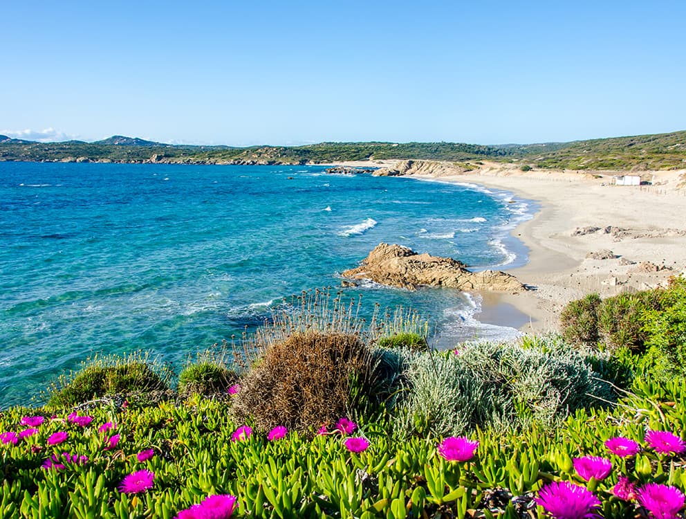 What do Sardinians know that the rest of the world doesn’t?